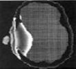 waveshield_image16