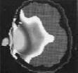 waveshield_image17
